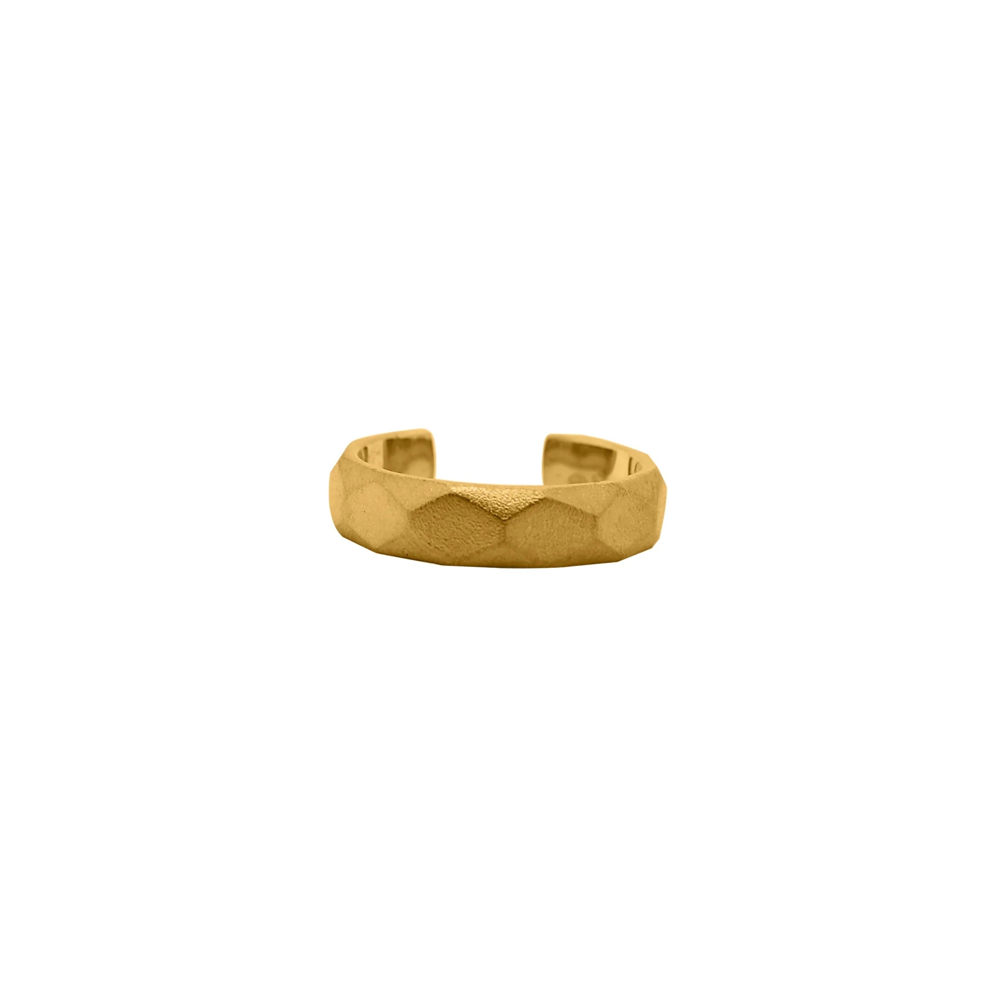 Silver Britannia Transparent.png