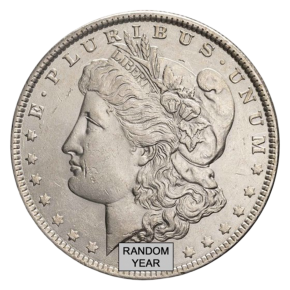 1878&ndash;1904 Morgan Silver Dollar BU (Random Year)