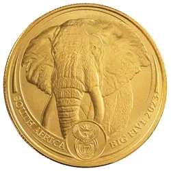 South African Big 5 Gold Coins