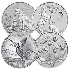 Random 2 oz Silver Coins